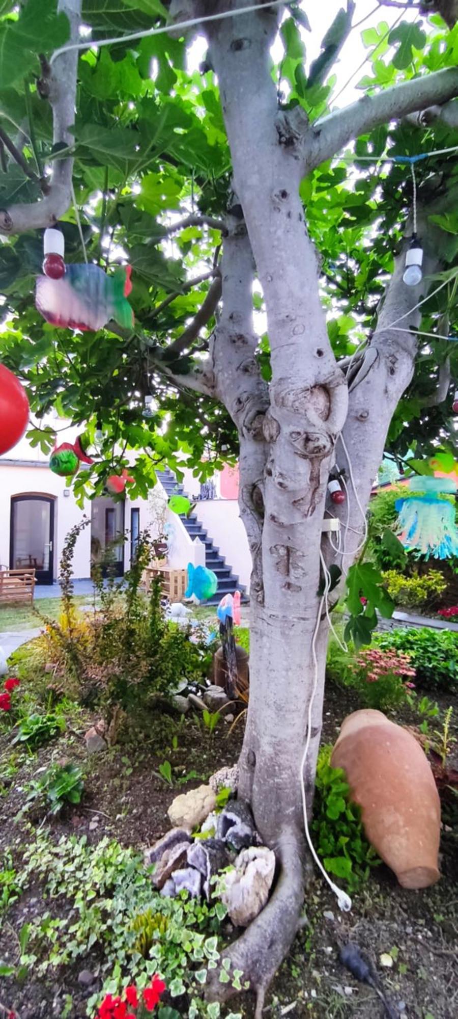 Hostel Namor ريباديو المظهر الخارجي الصورة